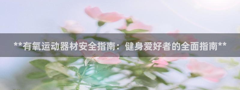 意昂3集团简介：**有氧运动器材安全指南：健身爱好者