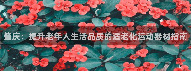 意昂3集团官网首页网址：肇庆：提升老年人生活品质的适