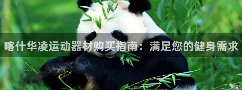 意昂体育3软件:喀什华凌运动器材购买指南:满足您的健身需求